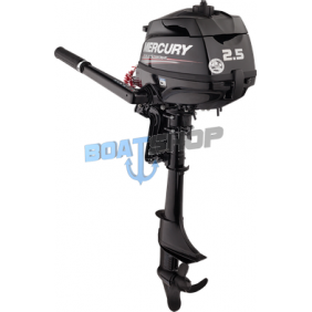 SILNIK MERCURY F 2.5 MH